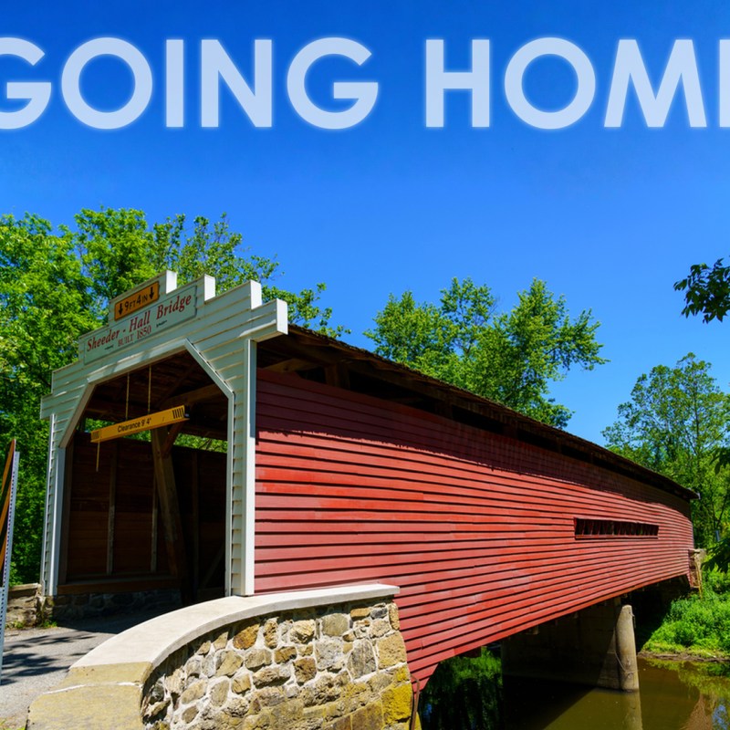 Going Home Again